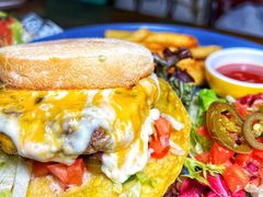 -Famous肥猫墨西哥音乐餐吧(五棵松华熙LIVE店)