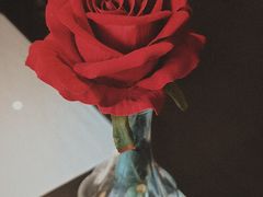 -百饺园(平山道店)