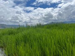 -丽江泸沽湖景区