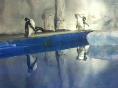 -鄂尔多斯野生动物园