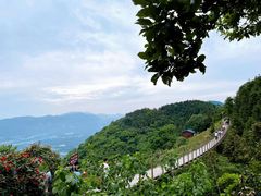 -仙岛湖旅游风景区