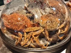 -半岛听涛蒸汽海鲜自助(K11店)