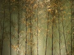 -茶理宜世(东方宝泰店)