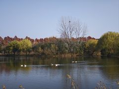 -太阳岛度假酒店