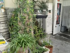 -丽江庭院之丽江往事(安定门店)