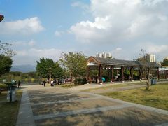-飞来湖湿地公园