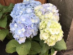 -大连北马山庄