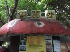 -厦门海湾公园游乐场