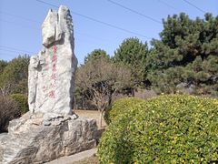 -云岗森林公园