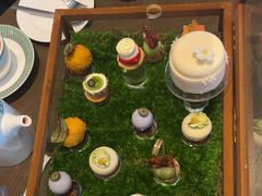 -苏州希尔顿酒店·园大堂吧