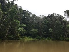 -热带雨林自然公园