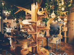 大堂-共舞时光猫咖·狗咖(新街口店)