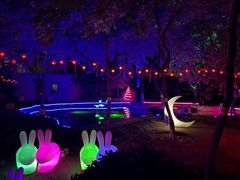 -枫花园汽车电影院(朝阳公园店)