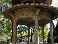 -玲珑塔公园