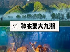 -大九湖