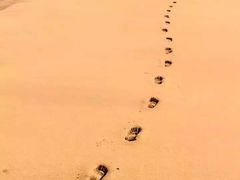 -赛百味SUBWAY(高新店)