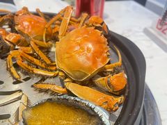 -半岛听涛蒸汽海鲜自助(K11店)