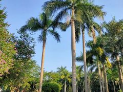 -广州雕塑公园
