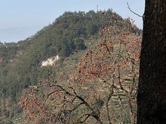 -杨家堂村