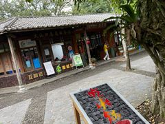 -海口火山口国家地质公园