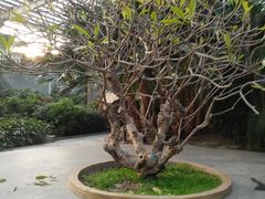 -龙达温泉生态城