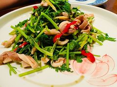 -顺承小院儿