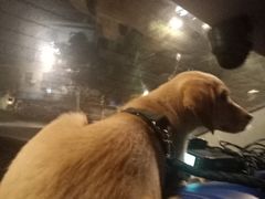 -茶百道(下沙宝龙二期店)