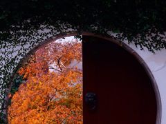 -上海醉白池公园