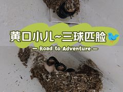 -北京全聚德(和平门店)