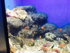 -福州罗源湾海洋世界旅游区