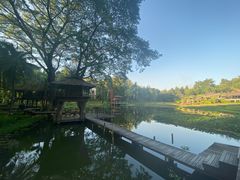 -四季酒店下午茶