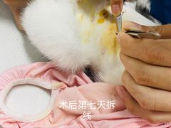 -达爱动物医院·犬猫分区·CT·复杂眼科(远洋山水分院)
