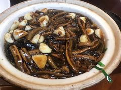 -丁老爷子苏香圆