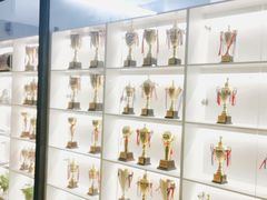 -极真空手道修远道场