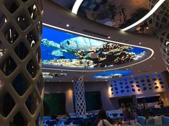 -瑞德姆美人鱼海底演艺主题餐厅(亚龙湾店)