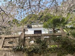 -苏州上方山国家森林公园