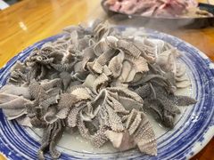 羊散丹-金生隆(六铺炕店)