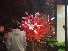 -楠波炭炉鸡煲馆(桥北店)