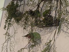 -咖啡人·融合餐厅(万达环宇店)