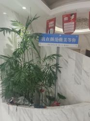 -武汉颜范薇美医疗美容门诊部