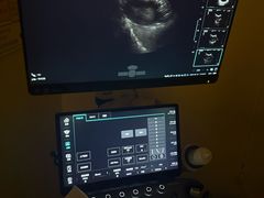 -爱派特动物医院·全科诊疗中心