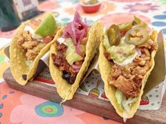 -Famous肥猫墨西哥音乐餐吧(五棵松华熙LIVE店)