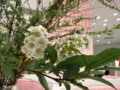 -茉莉餐厅(包河万达店)