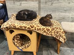 -囿面传统制面馆(中央路店)