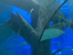 -福州罗源湾海洋世界旅游区