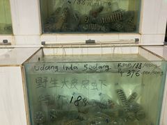 新鲜的皮皮虾-海盗餐厅