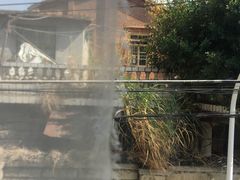 -巴浪鱼咖啡馆 Local Fish
