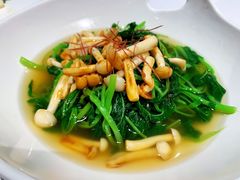上汤苋菜-禧宴Joyous Restaurant(禧园店)