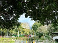 -西湖公园(鼓楼区)