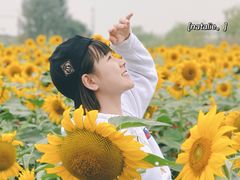 -映月湖中央公园